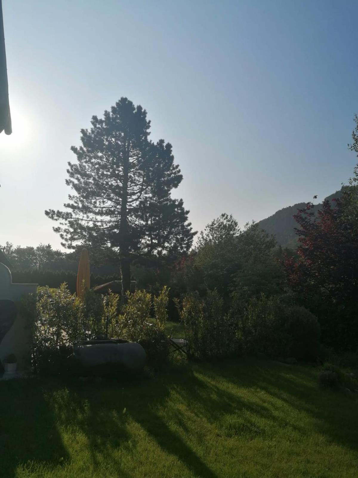 Appartment Nocksteinblick Guggenthal Dış mekan fotoğraf