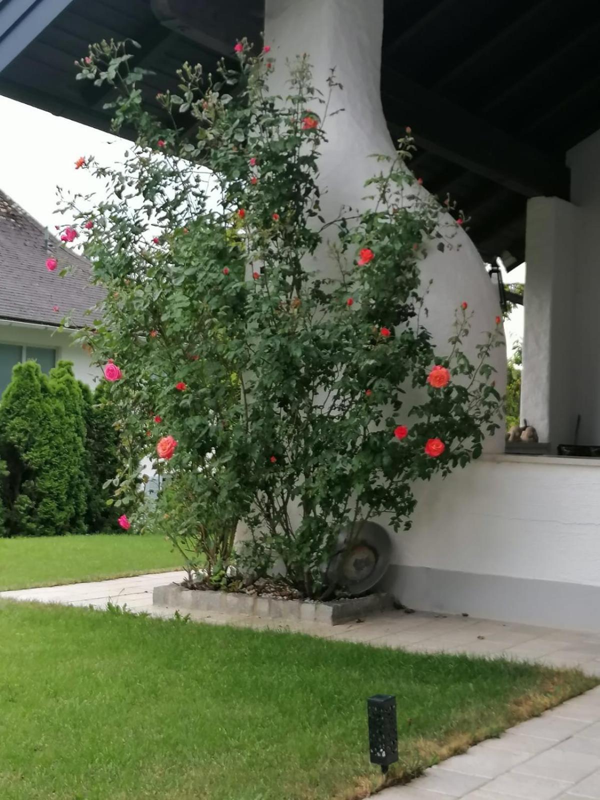 Appartment Nocksteinblick Guggenthal Dış mekan fotoğraf